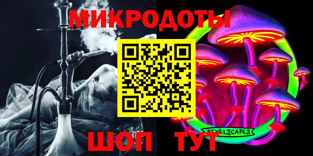 Псилоцибиновые грибы Cubensis Назарово