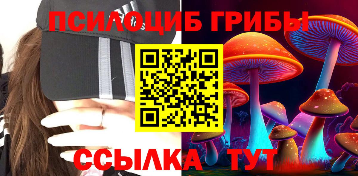 Псилоцибиновые грибы Cubensis  Вход с VPN  Назарово 